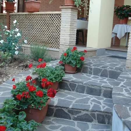 Bed & Breakfast Ciancaleoni 3* Rivotorto