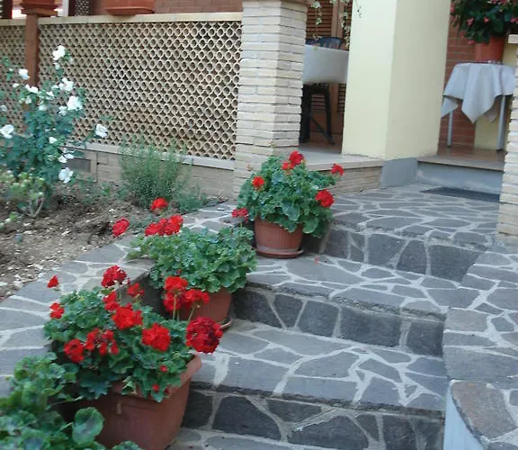 Ciancaleoni 3* ريفيوتورتو