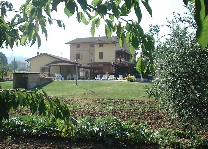 Ciancaleoni ريفيوتورتو