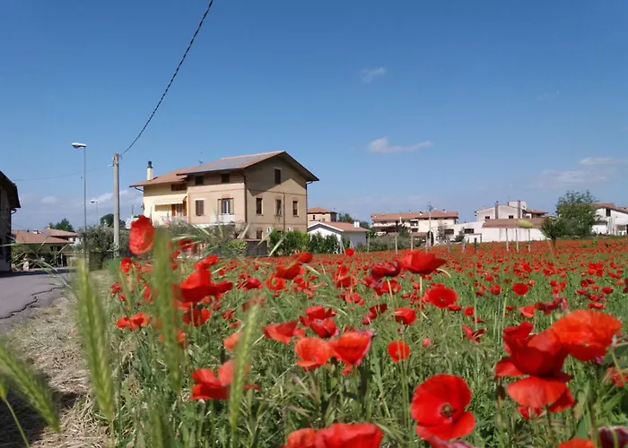 Ciancaleoni ريفيوتورتو